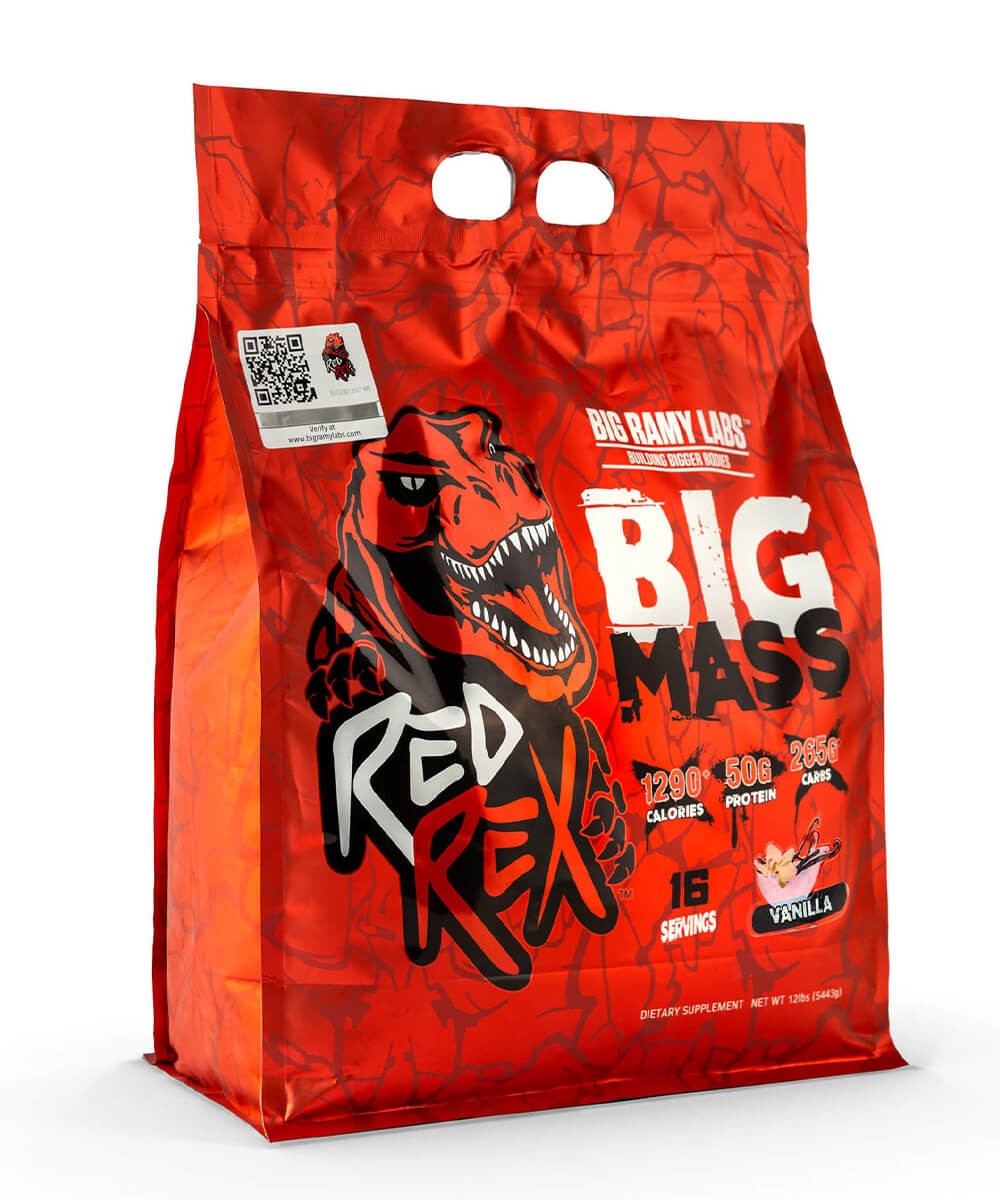 BIG MASS GAINER - RED REX | 5.443kg - BIG RAMY LABS